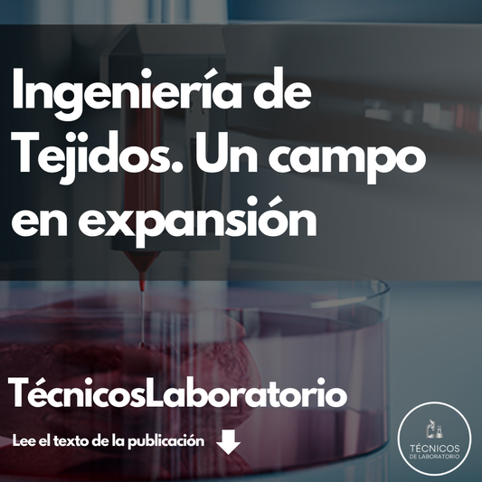 Ingeniería de Tejidos en 2024: La Ciencia que Está Redefiniendo la Medicina Regenerativa