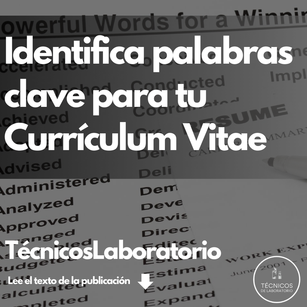 Cómo identificar las palabras clave para tu CV