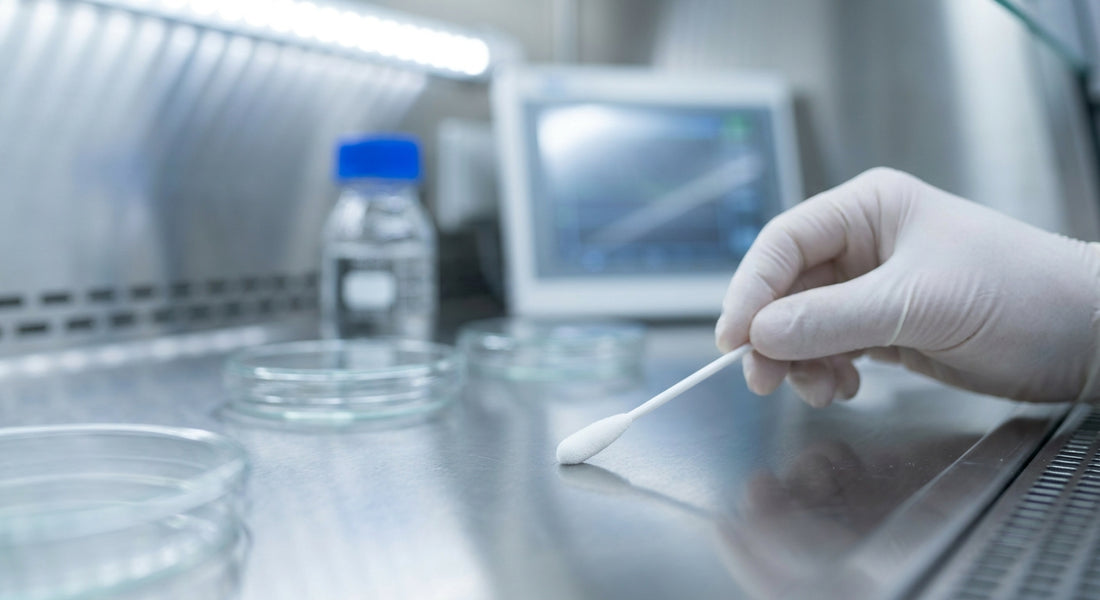GMP para Técnicos: Guía Práctica sobre Limpieza y Desinfección en Áreas Clasificadas - Protocolos, Validación y Mejores Prácticas