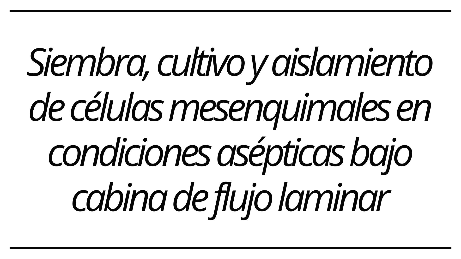 Imagen 'después'